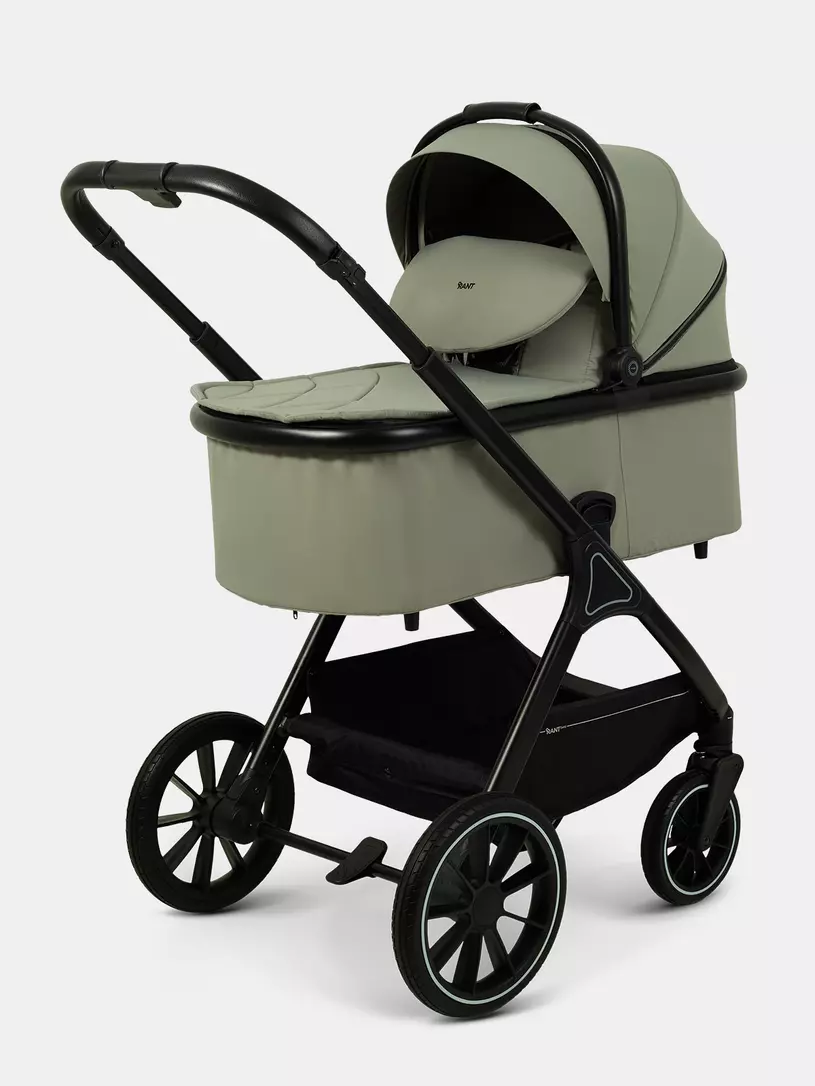 Коляска 2 в 1 Rant Basic Terra Olive