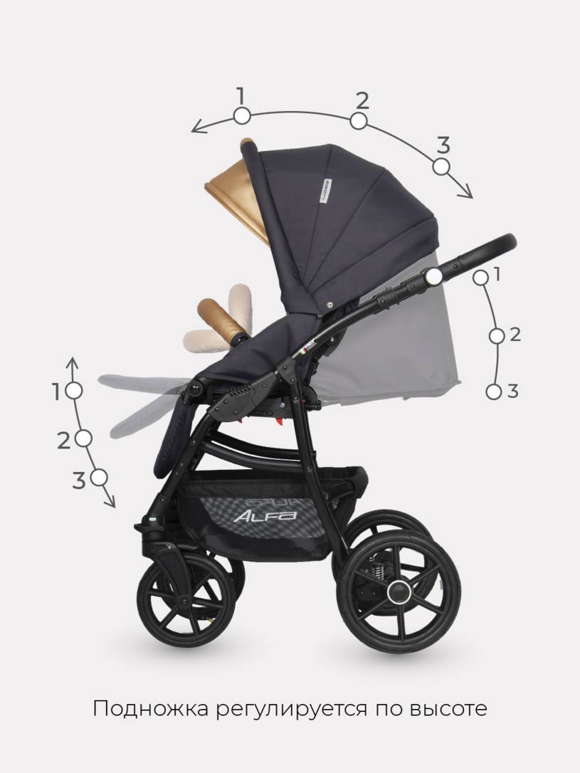 Коляска 2 в 1 Riko Basic Alfa Ecco 02 черно-золотистый