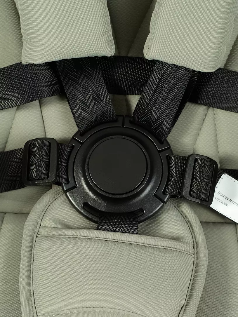 Коляска 2 в 1 Rant Basic Terra Olive