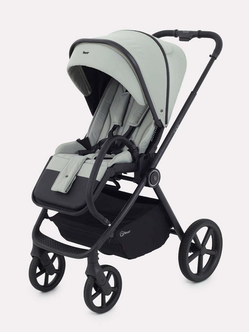 Коляска 2 в 1 Rant Teo Sage