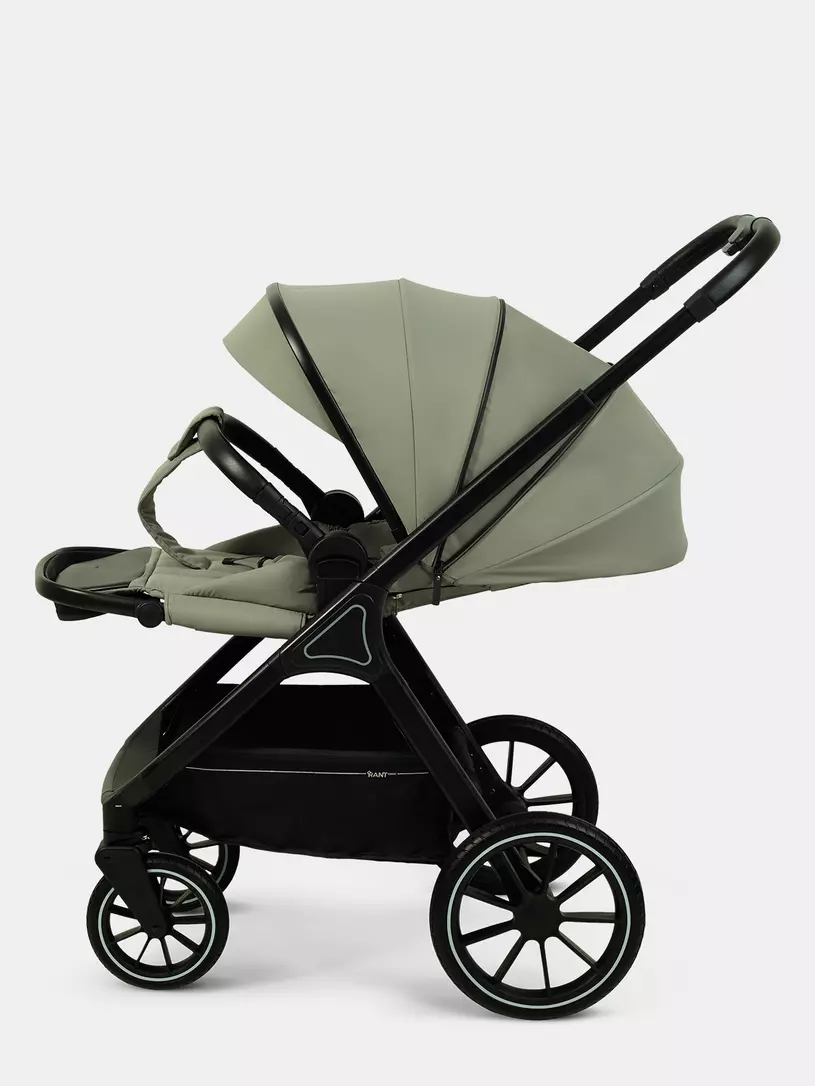 Коляска 2 в 1 Rant Basic Terra Olive