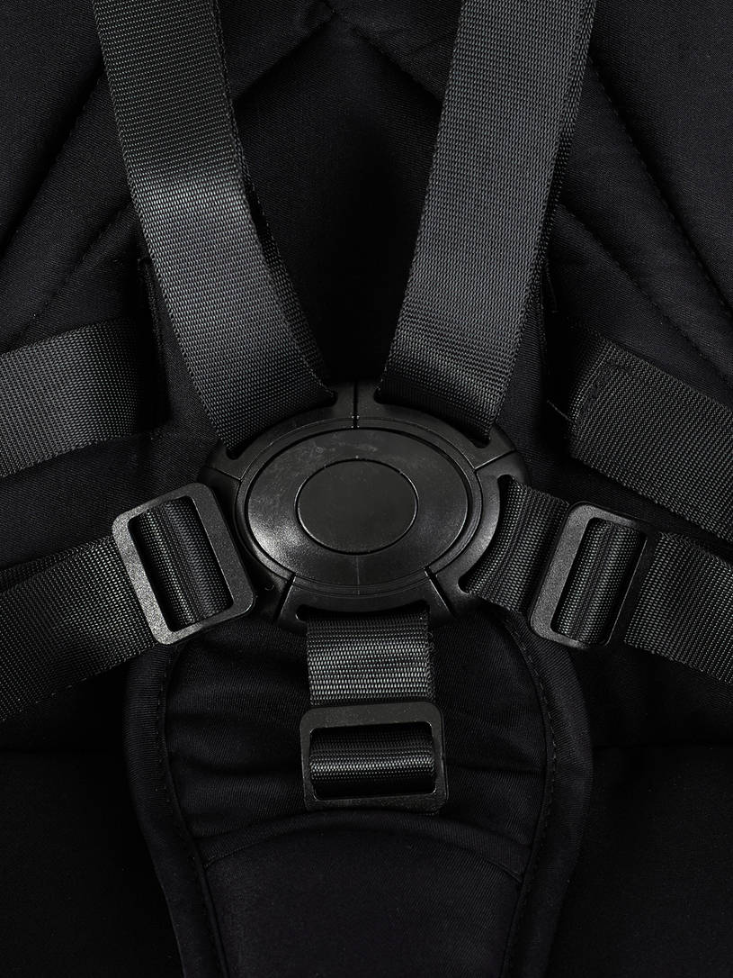 Коляска 2 в 1 Rant Flex Soft Therm Gold black