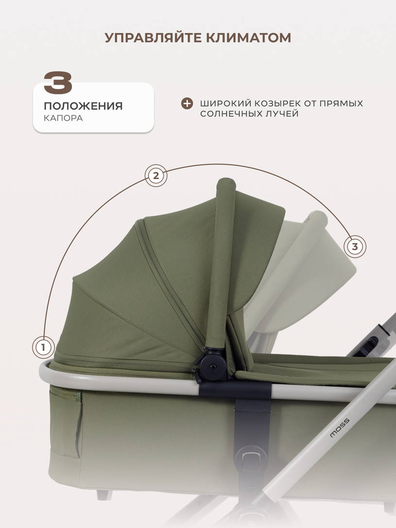Коляска 2 в 1 Rant Moss Prime Green