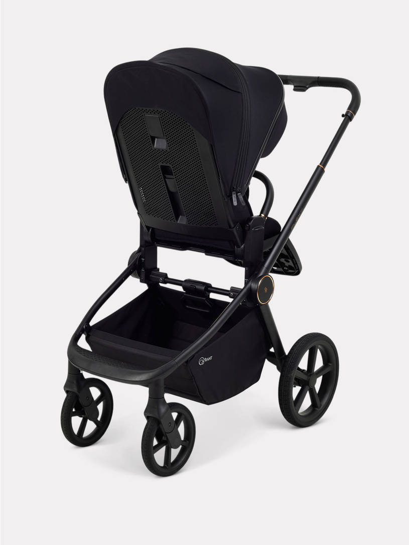 Коляска 2 в 1 Rant Flex Soft Therm Gold black