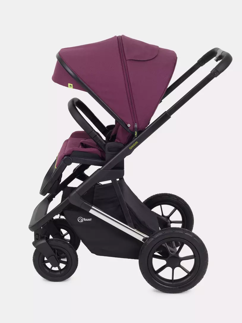 КОЛЯСКА 2 В 1 RANT AXIOM PURPLE