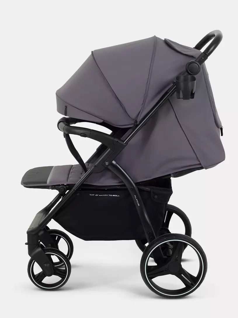 Коляска прогулочная Rant Basic Alpine 2026 Dark grey