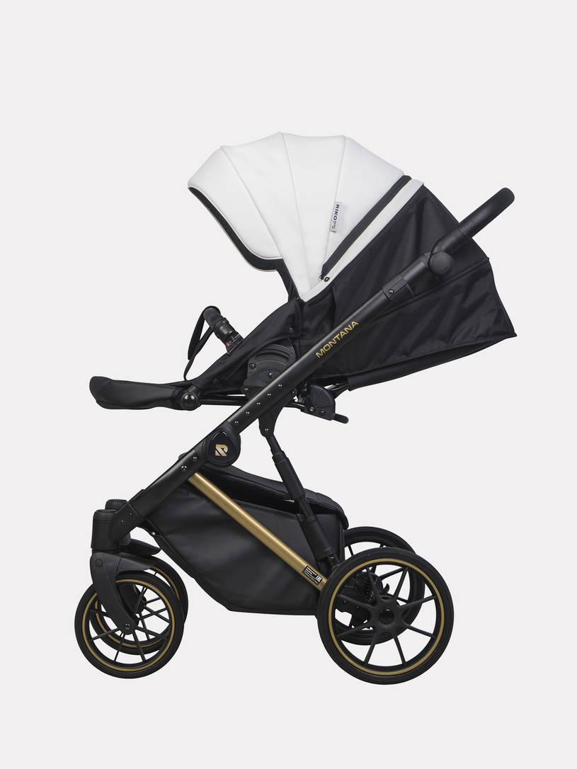 Коляска 2 в 1 Riko Basic Montana Premium Gold 01