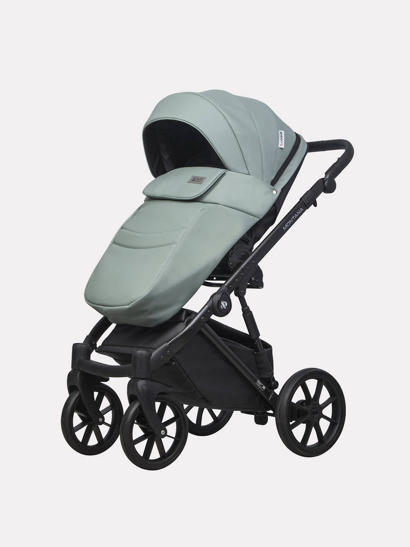 Коляска 3 в 1 Riko Basic Montana Ecco 21 Green