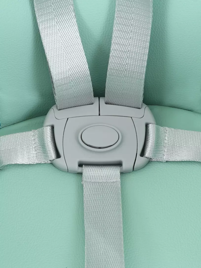 Стульчик для кормления Rant Basic Cookie Green