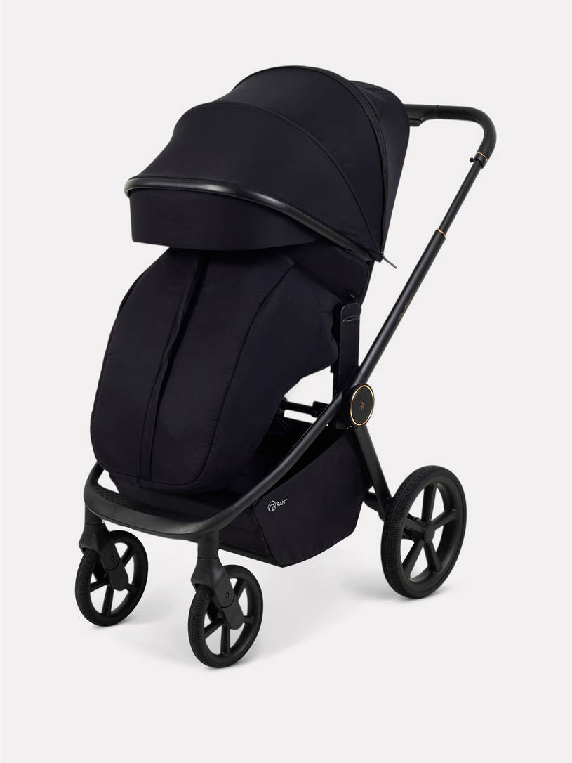 Коляска 2 в 1 Rant Flex Soft Therm Gold black