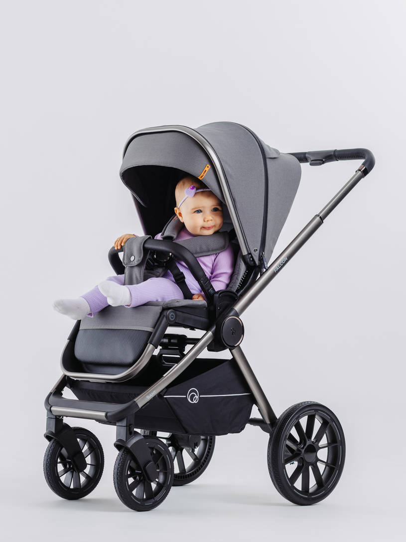 КОЛЯСКА 2 В 1 RANT FALCON GREY