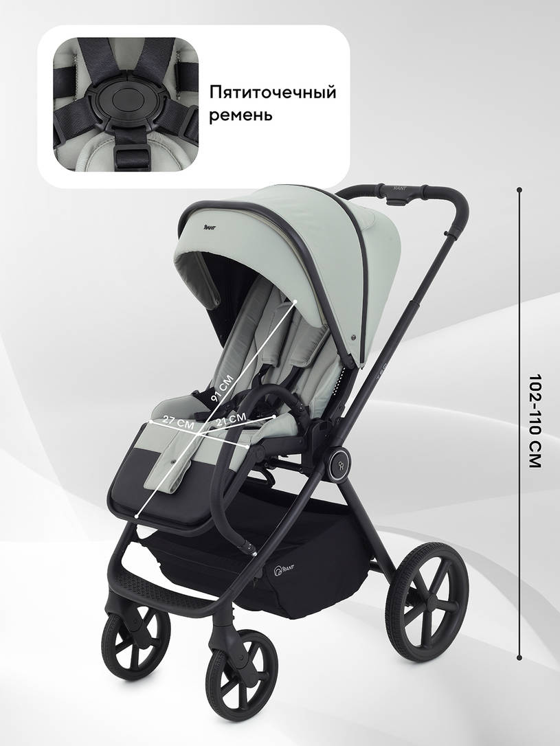 Коляска 2 в 1 Rant Teo Sage