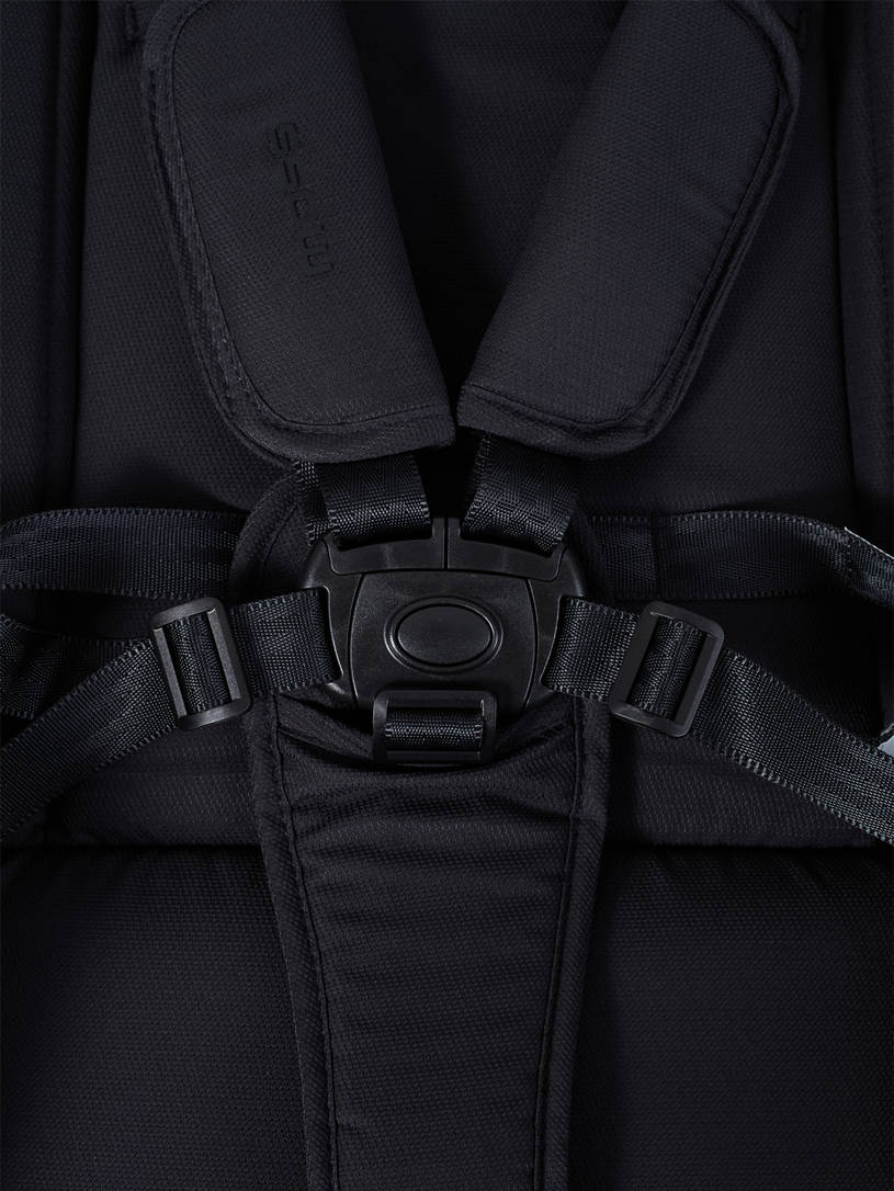Коляска 2 в 1 Rant Moss Prime Black