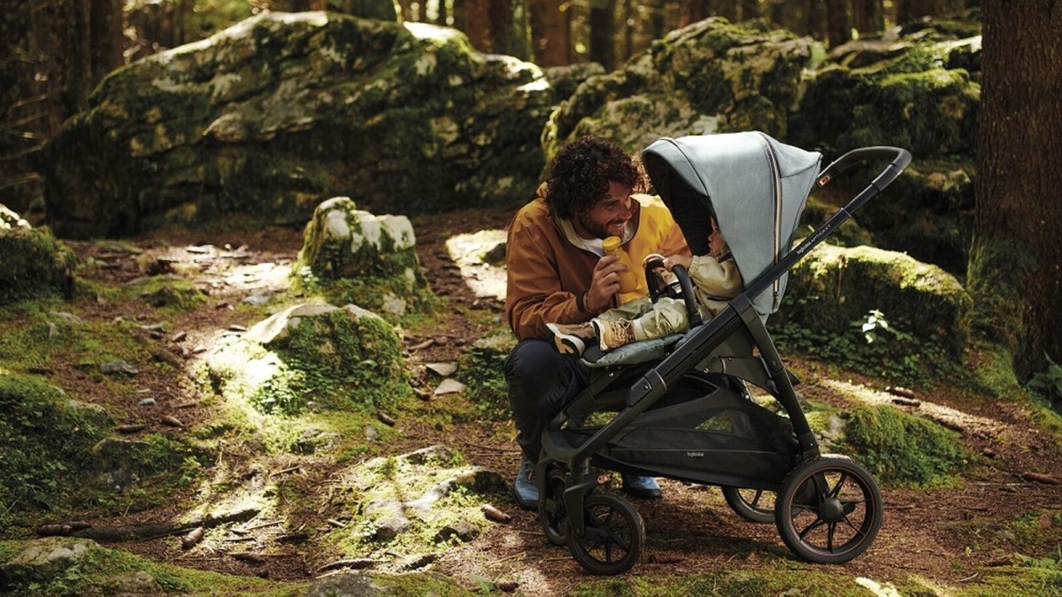 Прогулочная коляска Inglesina Aptica XT New, Igloo Grey