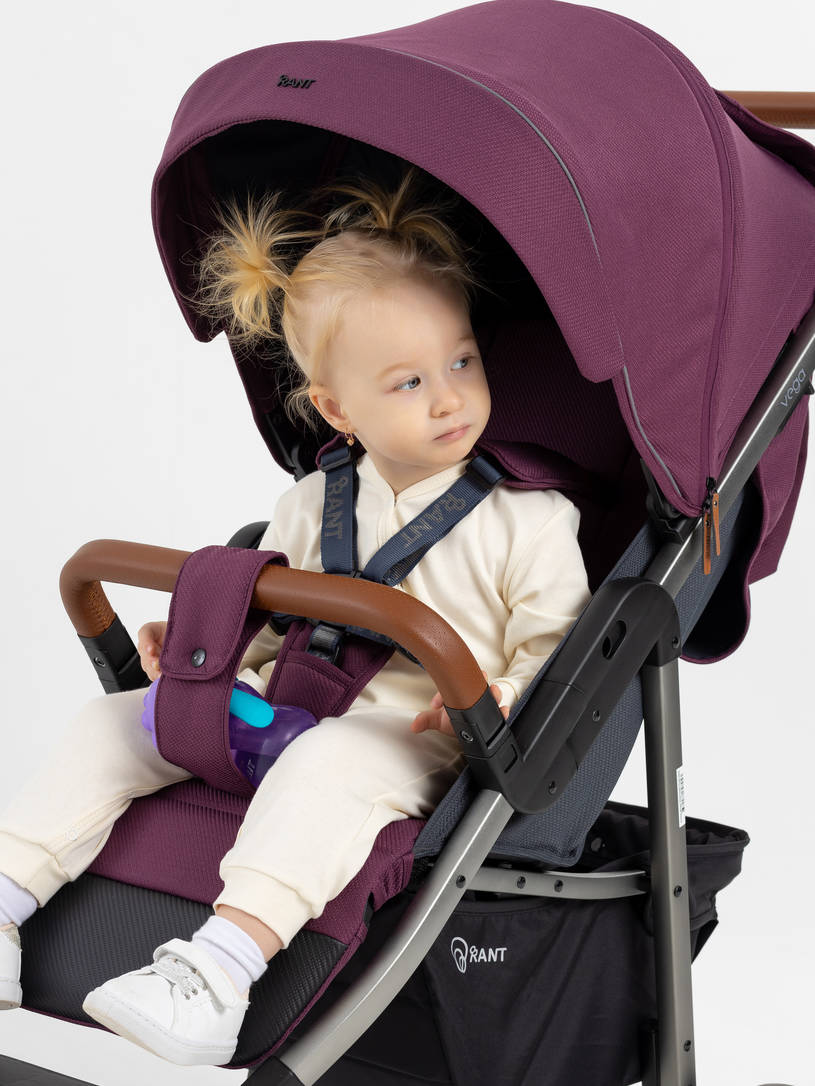 Коляска прогулочная Rant Vega 2023 Purple