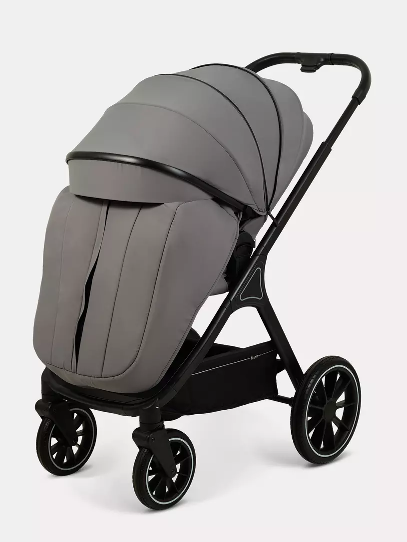 Коляска 2 в 1 Rant Basic Terra Graphite