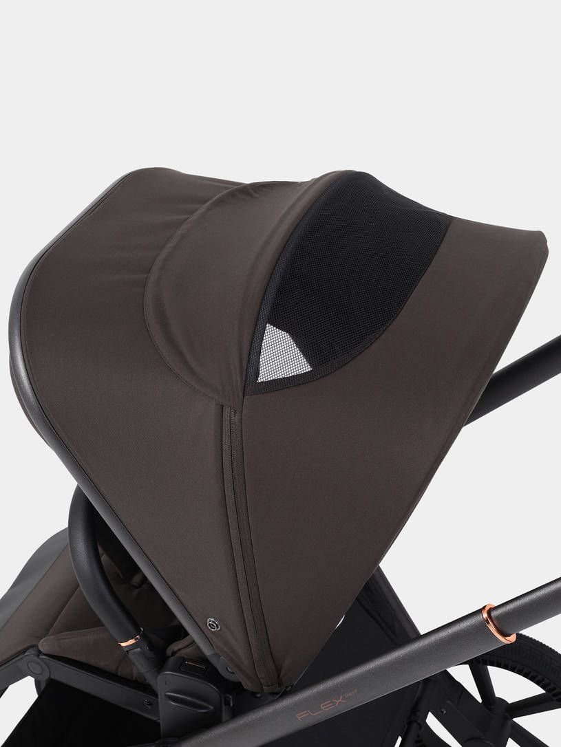 Коляска прогулочная Rant Flex Color Shine brown