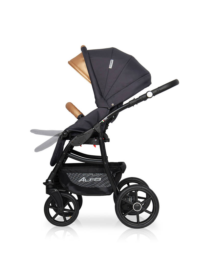 Коляска 2 в 1 Riko Basic Alfa Ecco 02 черно-золотистый