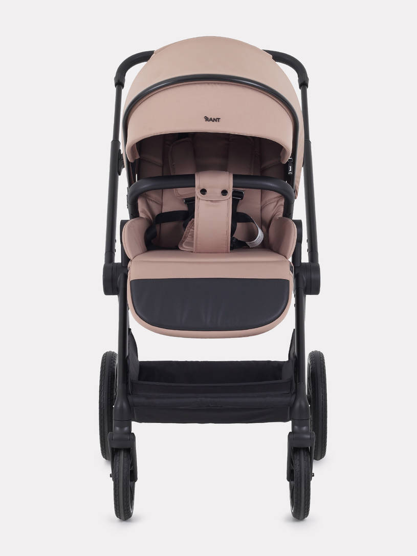 Коляска 2 в 1 Rant Moss Midnight black