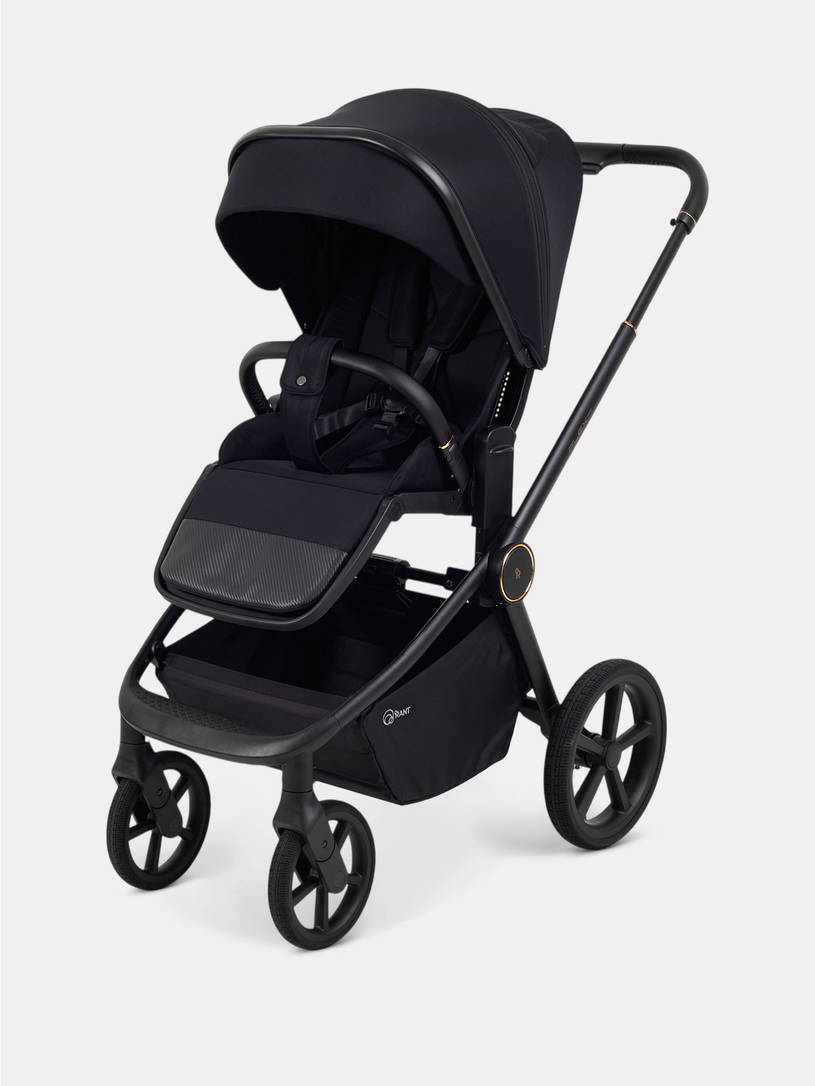 Коляска 2 в 1 Rant Flex Soft Therm Gold black