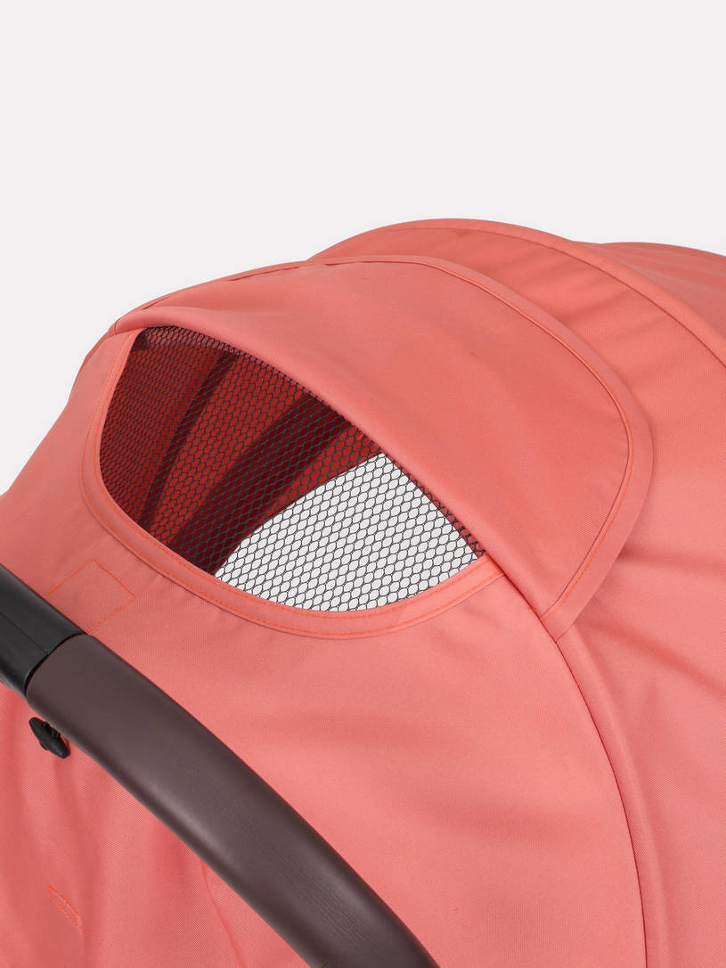 Коляска прогулочная Rant Action Cloud pink