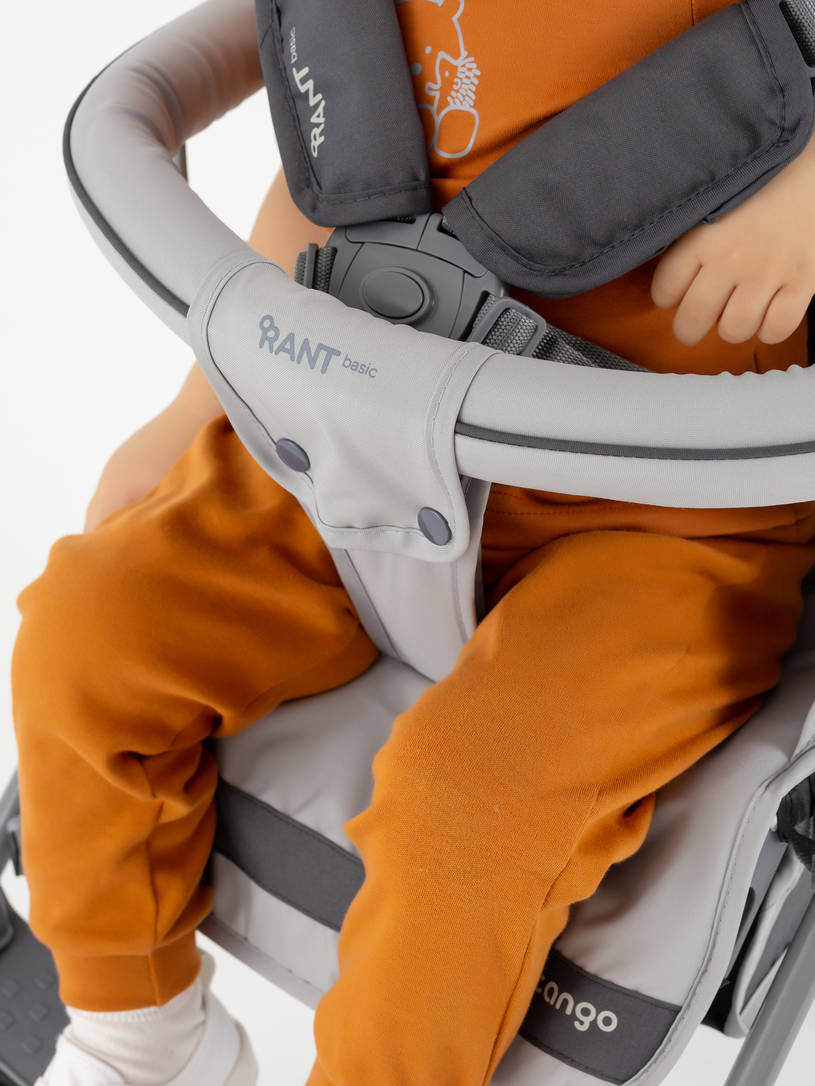 Коляска прогулочная Rant Basic Tango Silver Grey