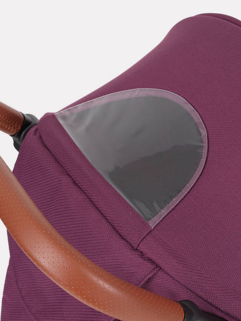 Коляска прогулочная Rant Vega 2023 Purple