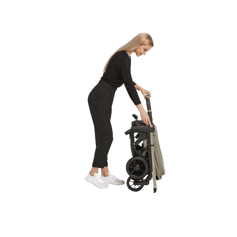 Прогулочная коляска Inglesina Electa , Murray Green