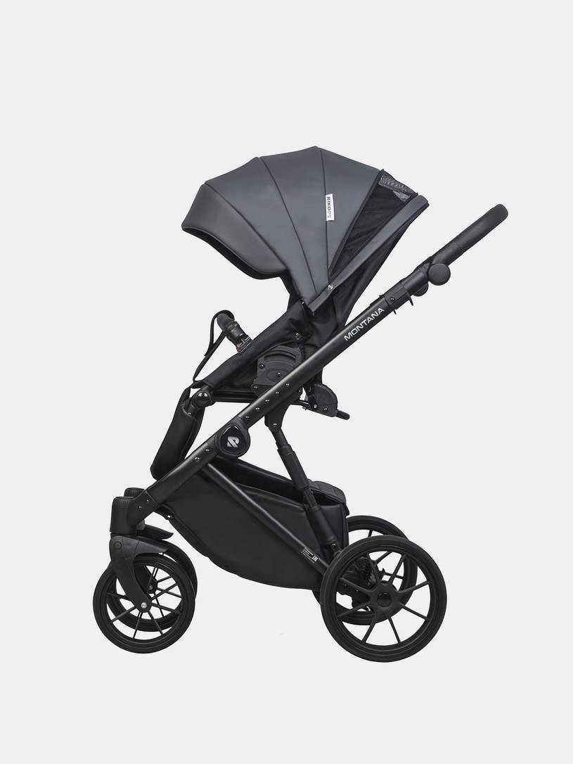 Коляска 3 в 1 Riko Basic Montana Ecco 24 Graphite