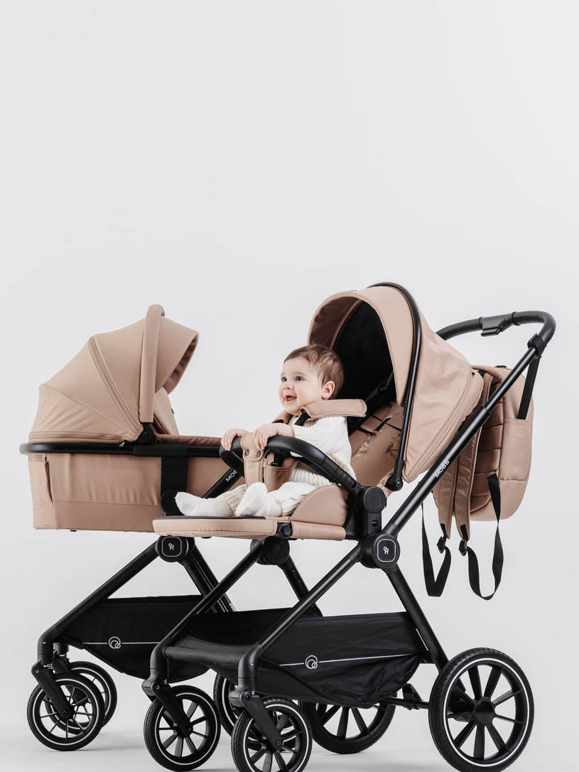 Коляска 2 в 1 Rant Moss Midnight black