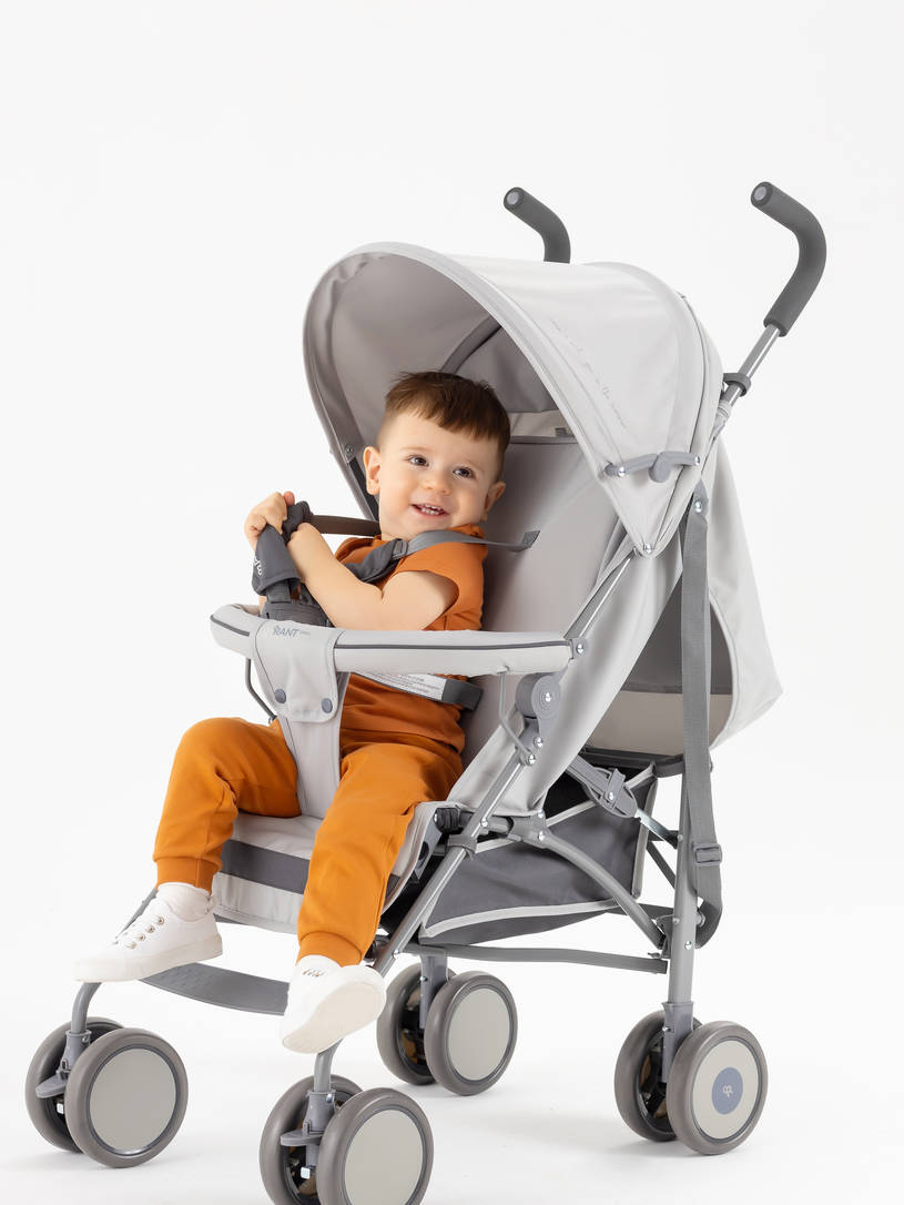 Коляска прогулочная Rant Basic Tango Silver Grey