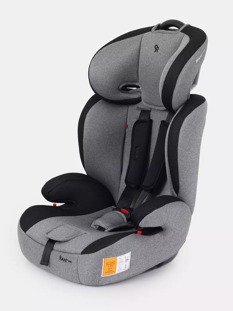 Автокресло Rant Basic Spark 1/2/3 (9-36 кг) Graphite
