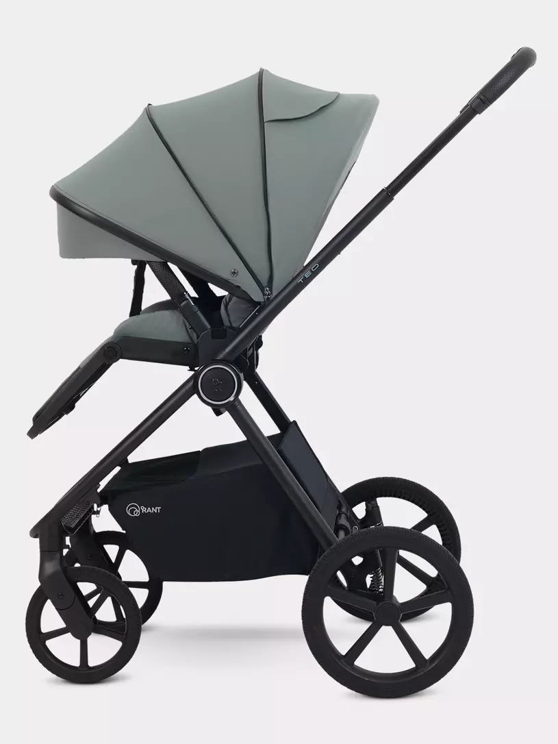 Коляска 2 в 1 Rant Teo Soft Olive