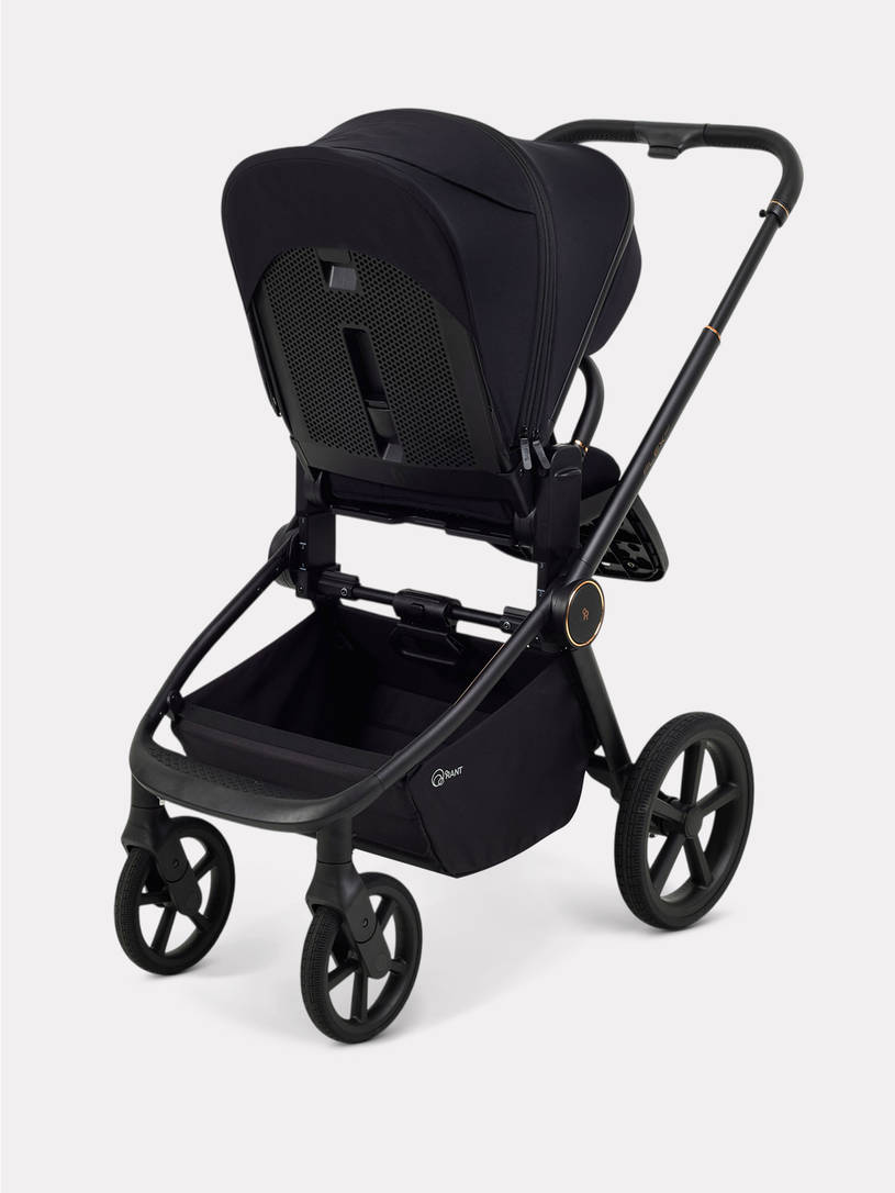 Коляска 2 в 1 Rant Flex Soft Therm Gold black
