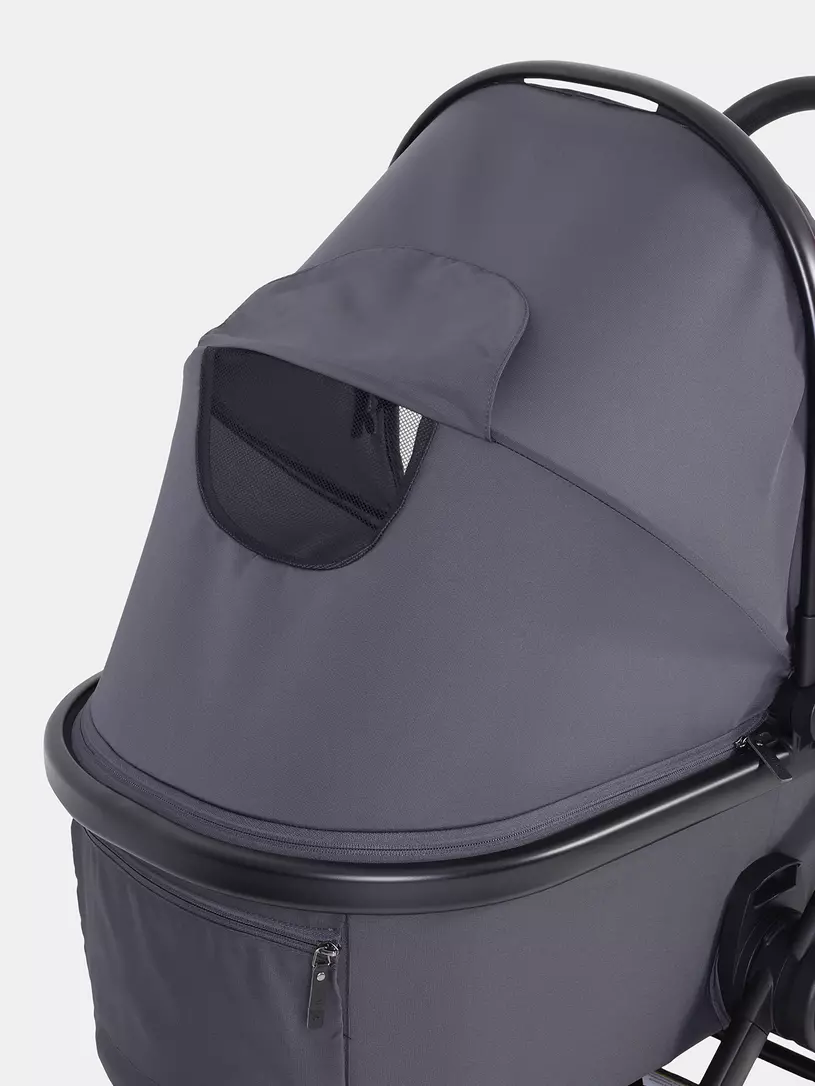 Коляска 2 в 1 Rant Basic Wave Graphite