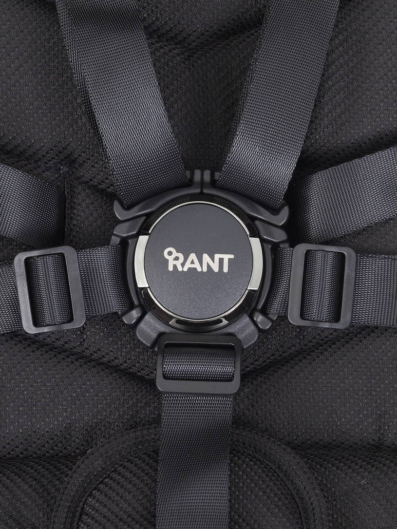 Коляска прогулочная Rant Flex Pro 2023 RA099 Black