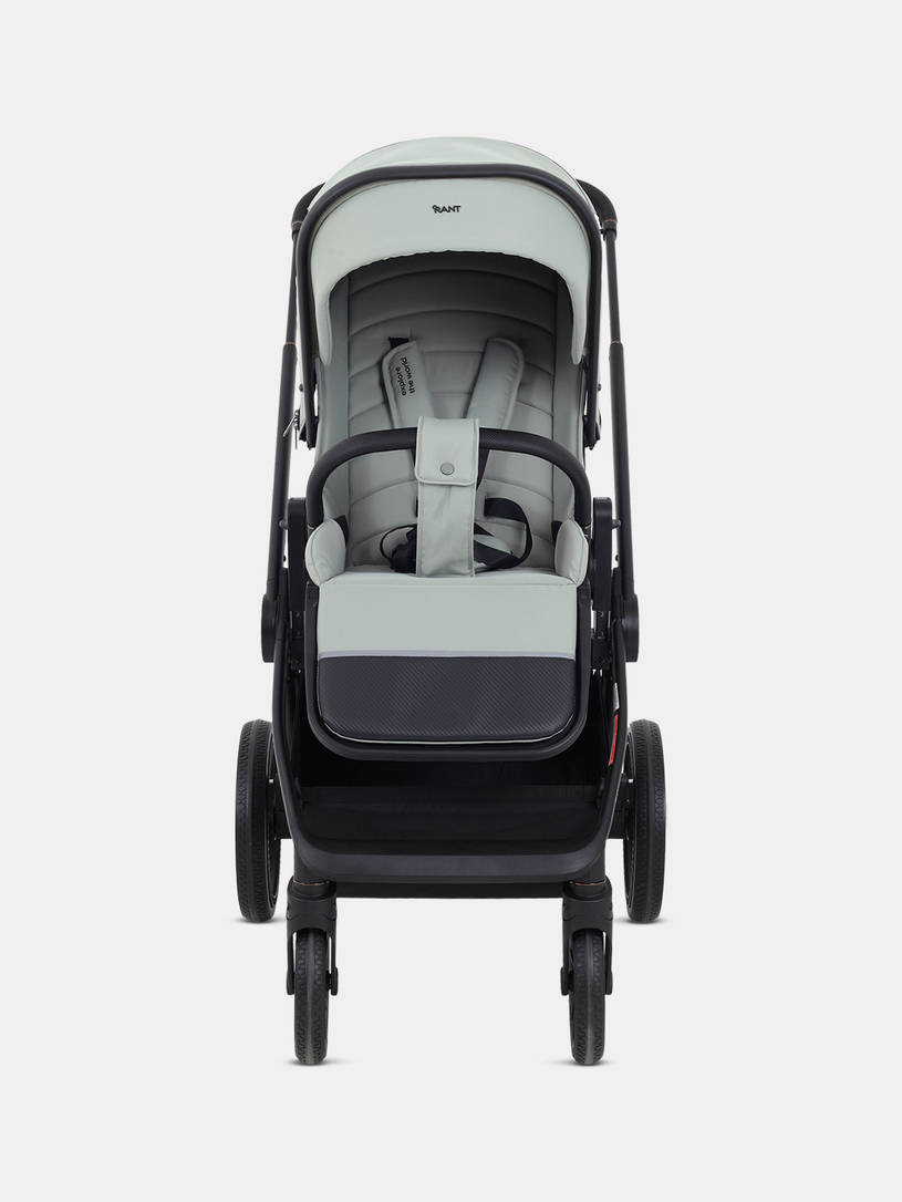 Коляска 2 в 1 Rant Falcon Neo Sage