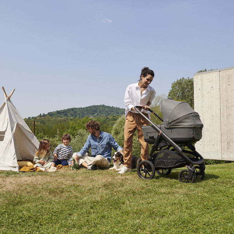 Коляска 2 в 1 Inglesina Aptica XT New с подставкой под люльку Stand Up, Horizon Grey