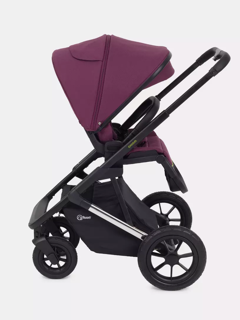 КОЛЯСКА 2 В 1 RANT AXIOM PURPLE