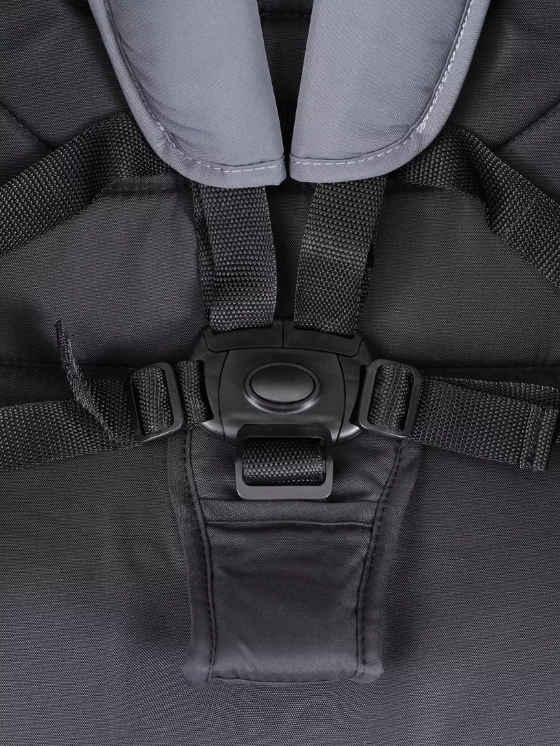 Коляска прогулочная Rant Basic Alpine 2025 Graphite