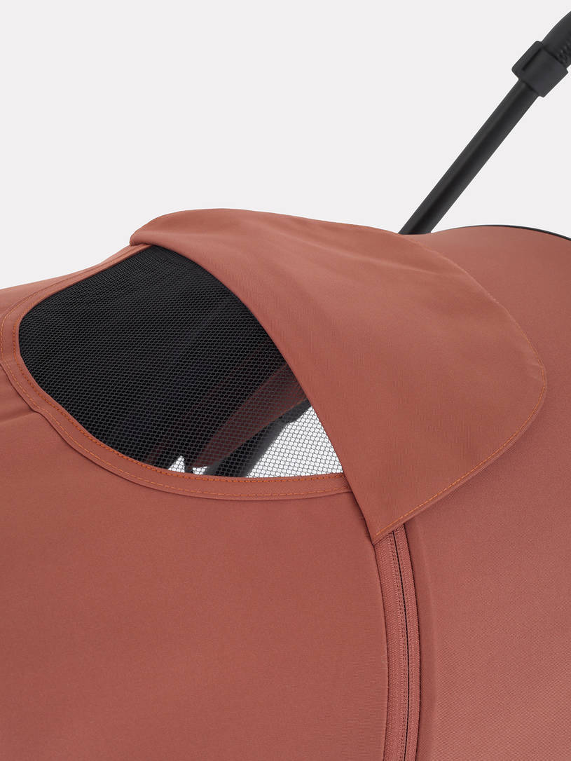 Коляска 2 в 1 Rant Moss Maroon brown