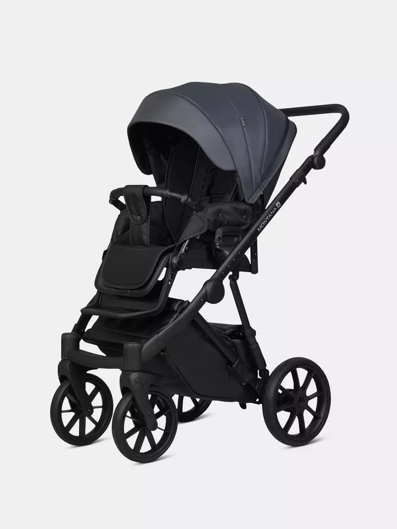 Коляска 2 в 1 Riko Basic Montana X Ecco 24 Graphite