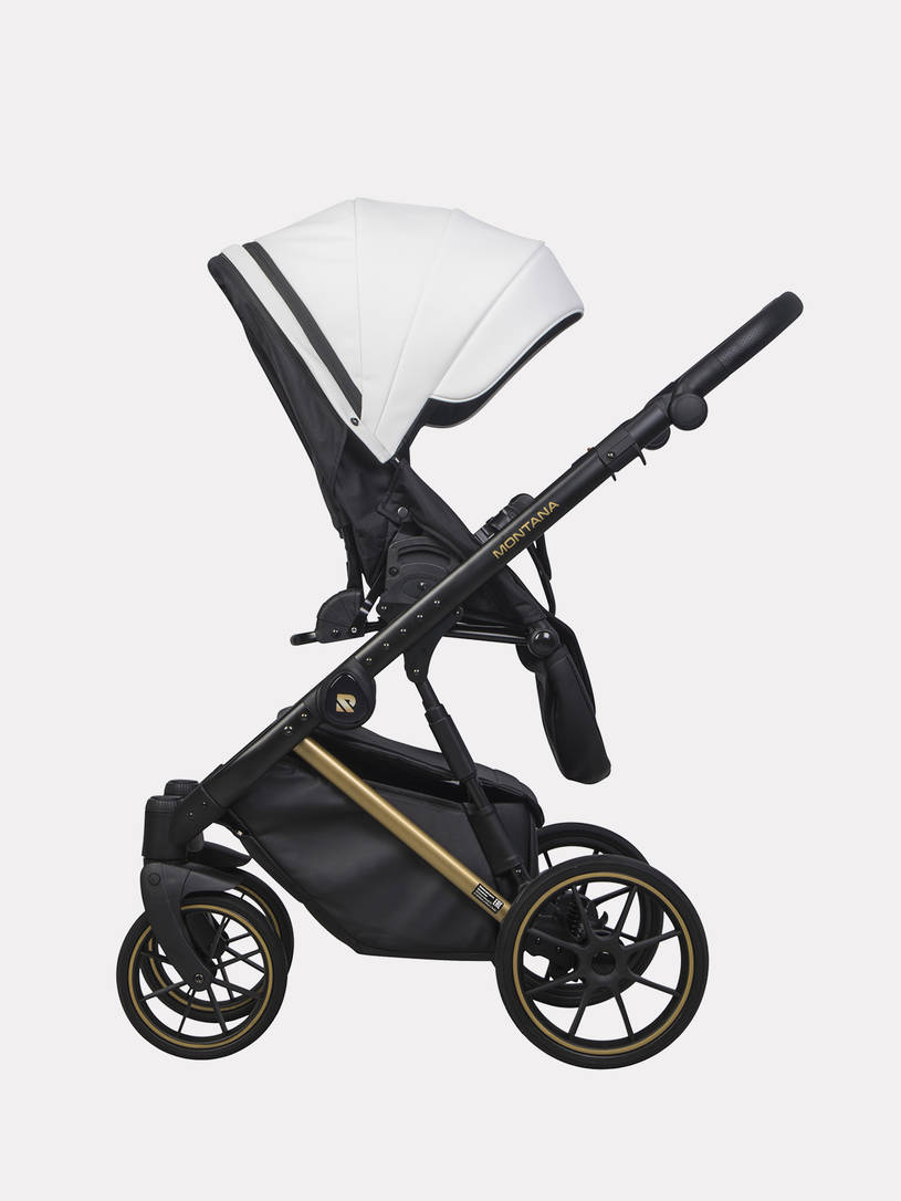 Коляска 2 в 1 Riko Basic Montana Premium Gold 01