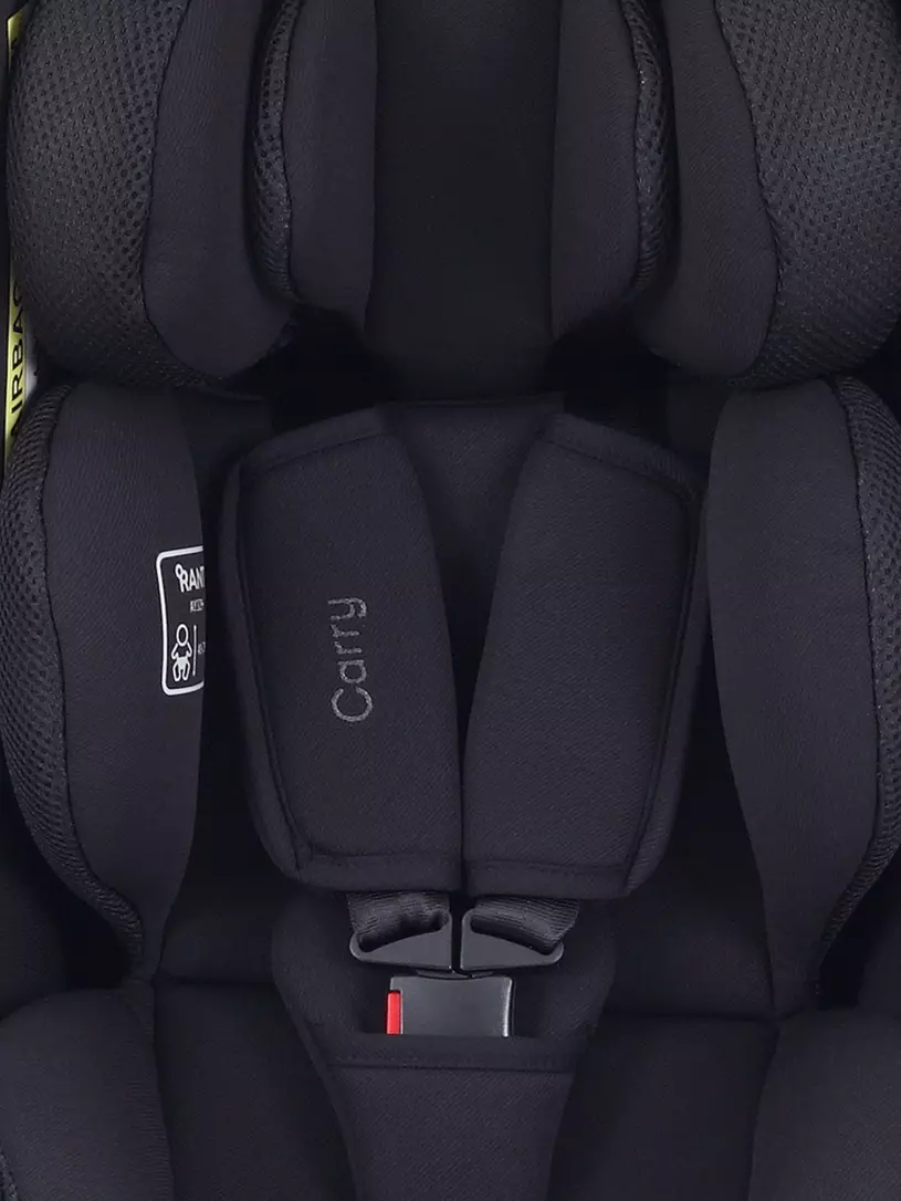 Автокресло Rant Carry 2.0 (40-87 см) Black