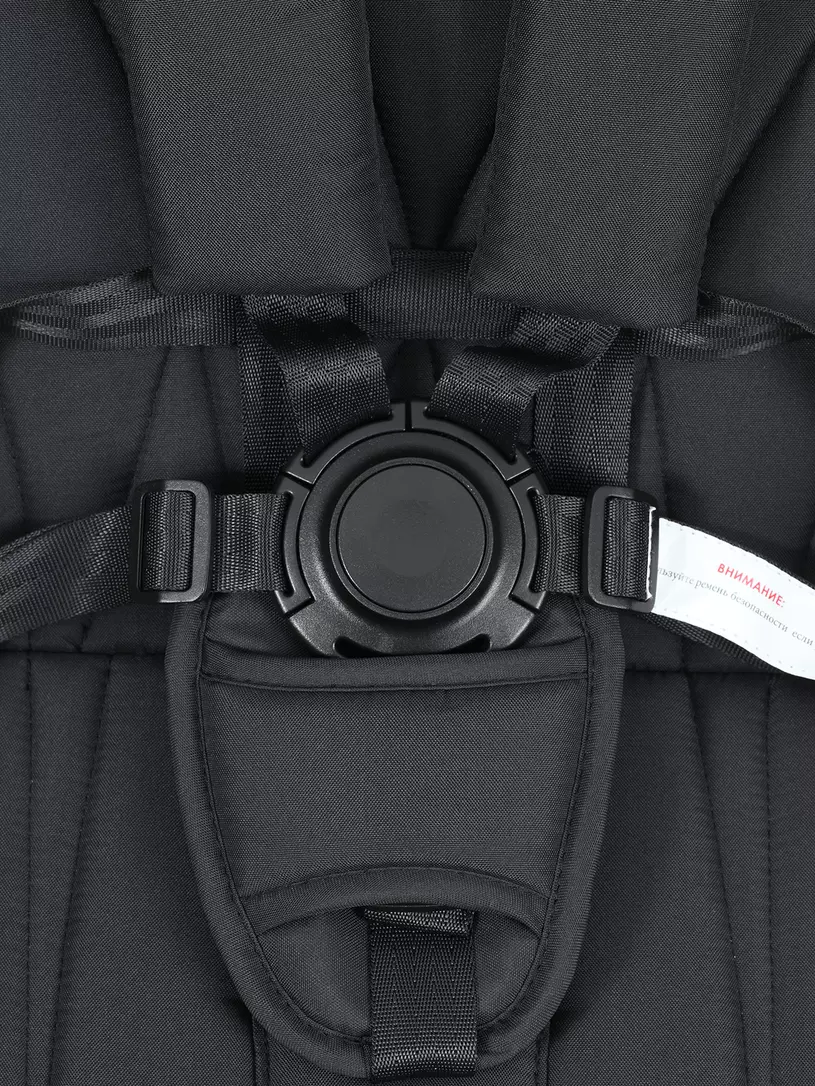 Коляска 2 в 1 Rant Basic Terra Black