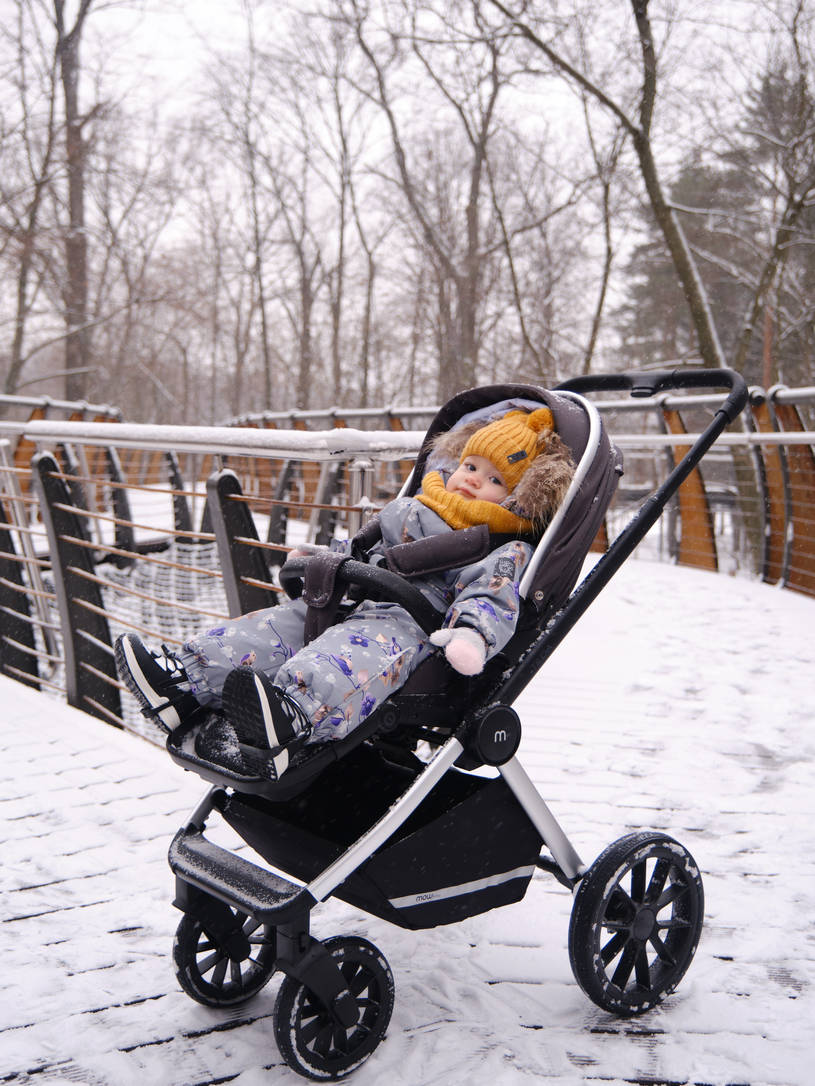 Коляска 2 в 1 Mowbaby Tilda Carbon