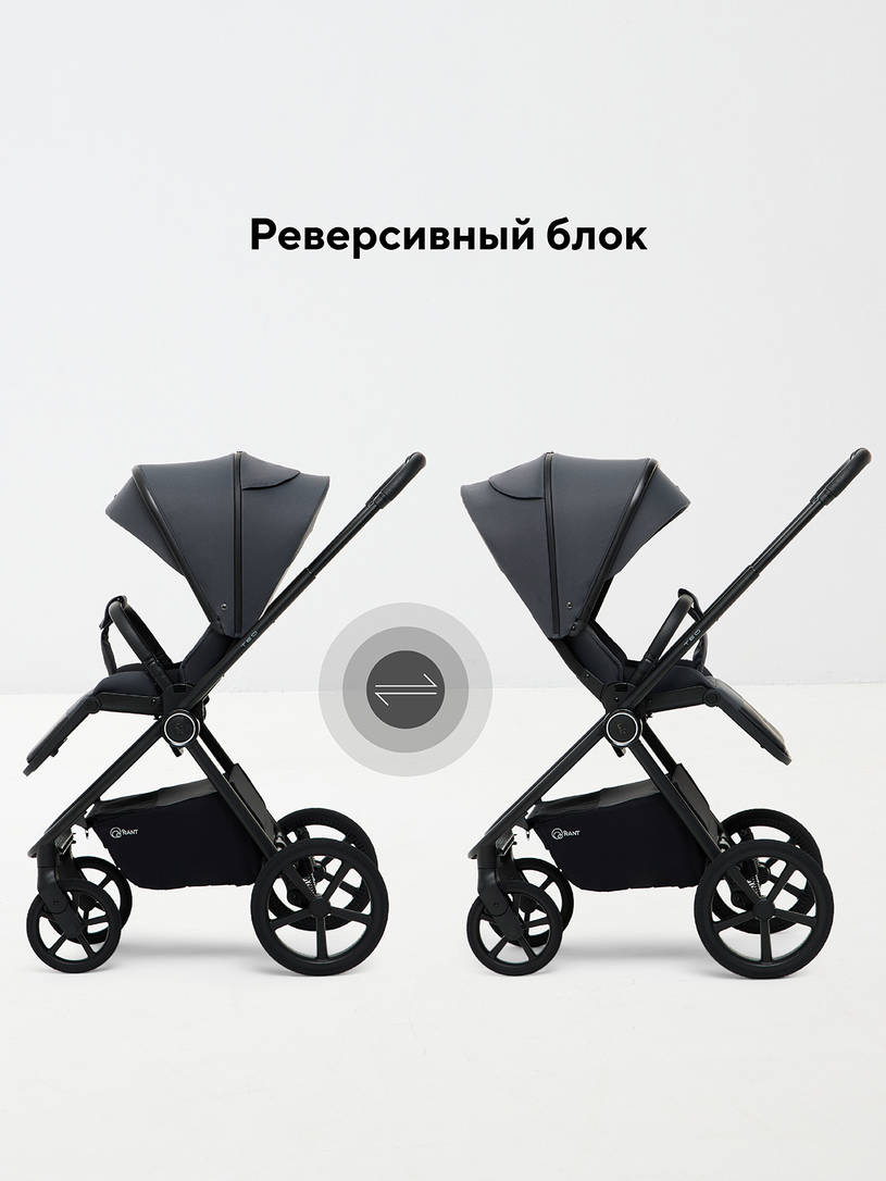 Коляска 2 в 1 Rant Teo Soft Graphite