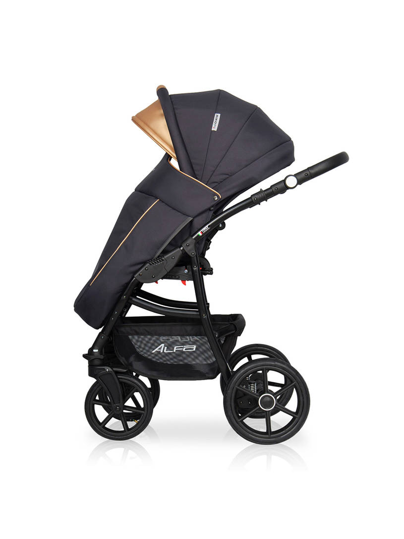 Коляска 2 в 1 Riko Basic Alfa Ecco 02 черно-золотистый