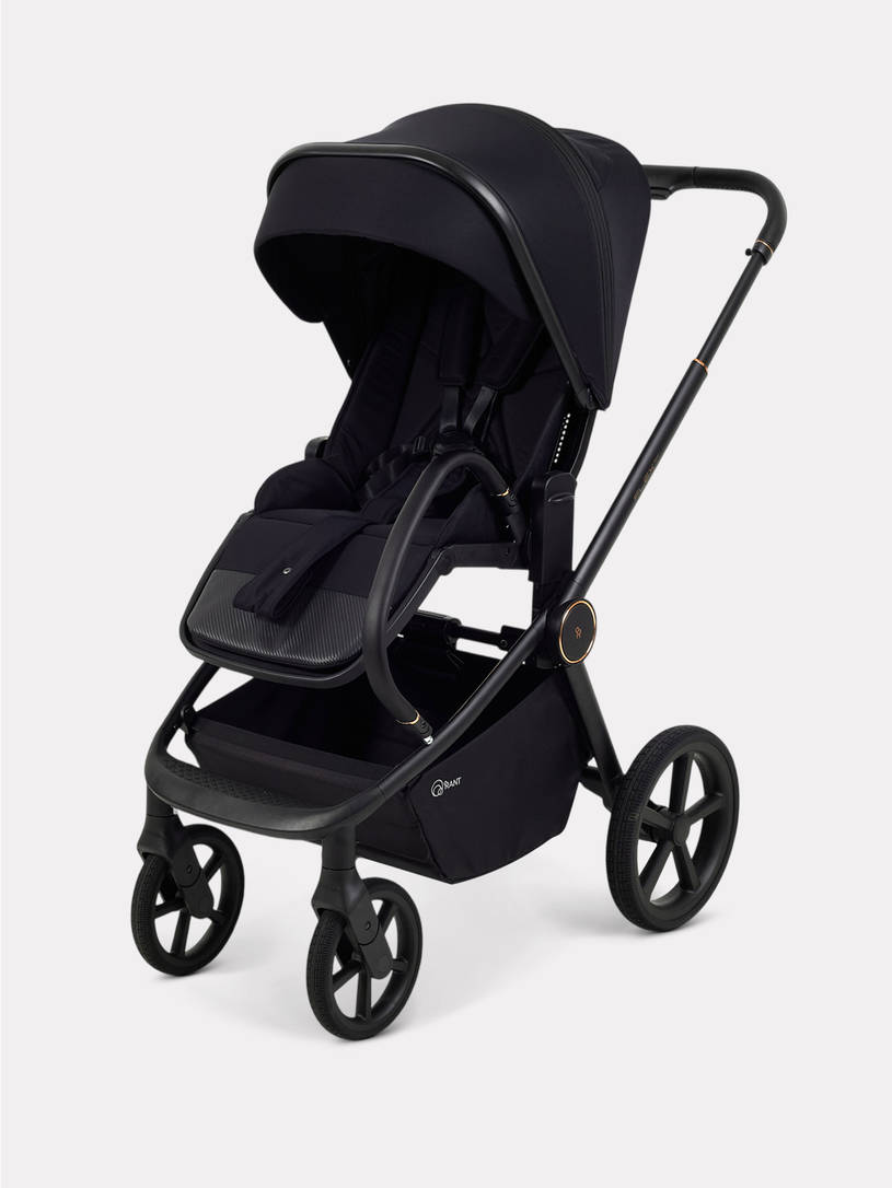 Коляска 2 в 1 Rant Flex Soft Therm Gold black