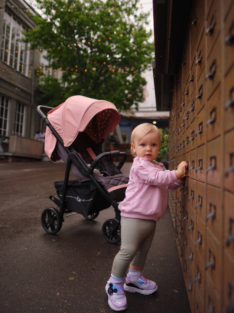 Коляска прогулочная Rant Vega Star Cloud Pink. Цвет: Розовый